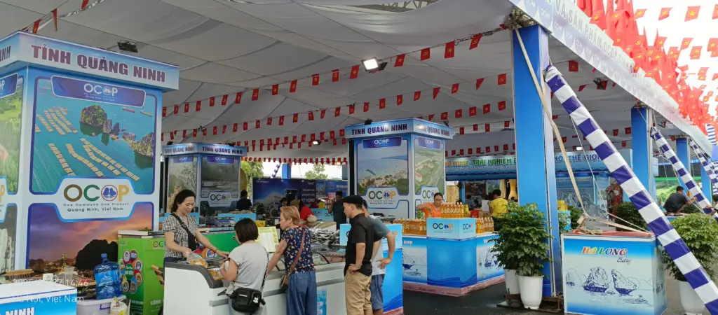 Dịch Vụ Cho Thuê Bếp Từ – Giá Chỉ Từ 100.000đ/Ngày